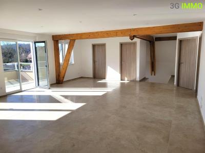 Acheter Appartement 100 m2 Tagolsheim