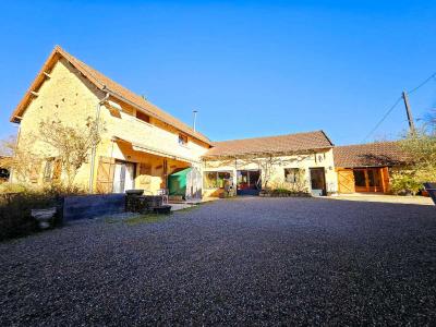 Acheter Maison 308 m2 Chapelle-aubareil