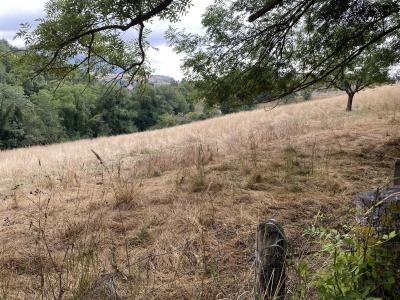 For sale Ardes Puy de dome (63420) photo 3