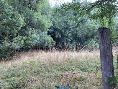 For sale Ardes Puy de dome (63420) photo 4