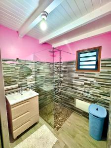 Acheter Maison Anse-bertrand 323000 euros