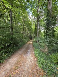 Acheter Maison Labastide-esparbairenque 310000 euros