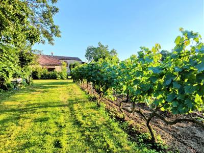 Acheter Maison Mirepoix 386000 euros