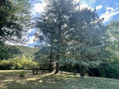 For sale Villemoirieu 6 rooms 126 m2 Isere (38460) photo 4
