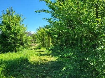 Annonce Vente Terrain Belvezet 30