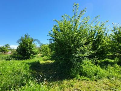 Acheter Terrain 1754 m2 Belvezet