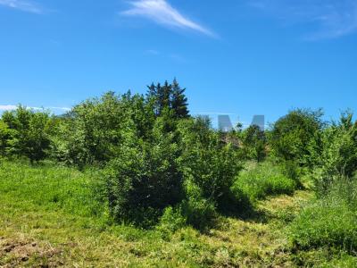 Acheter Terrain Belvezet 220000 euros