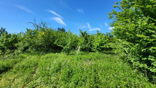 Annonce Vente Terrain Belvezet 30