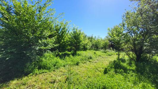 Acheter Terrain Belvezet