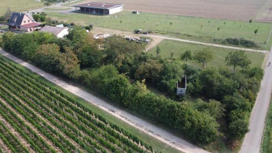 Acheter Terrain Bergheim Haut rhin
