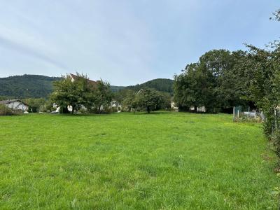 For sale Soultzmatt Haut rhin (68570) photo 0