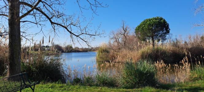 Annonce Vente 4 pices Maison Saintes-maries-de-la-mer 13