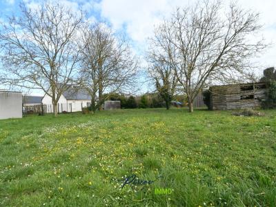 Acheter Terrain 799 m2 Brissac-quince