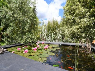 For sale Clere-sur-layon 197 m2 Maine et loire (49560) photo 2