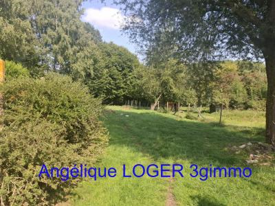 Acheter Maison 120 m2 Englefontaine