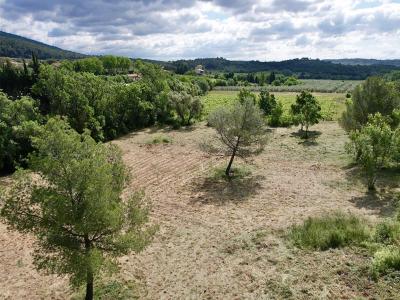 Annonce Vente Terrain Babeau-bouldoux 34