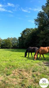 For sale Authieux-sur-calonne 2 rooms 40 m2 Calvados (14130) photo 3
