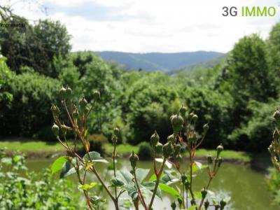 Acheter Maison 333 m2 Fresse