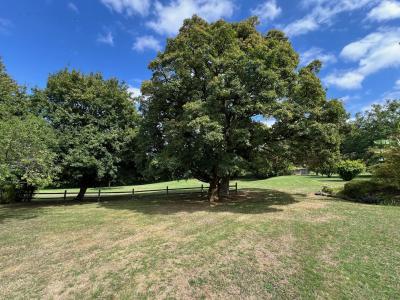 Acheter Maison 116 m2 Appenai-sous-belleme