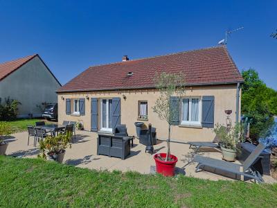Annonce Vente 5 pices Maison Selle-sur-le-bied 45