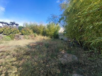 Annonce Vente Terrain Bouzigues 34