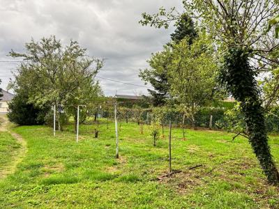 Acheter Maison Yzeure Allier