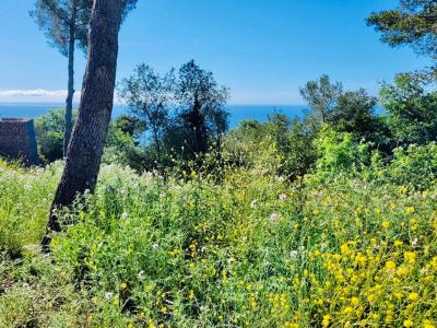 For sale Turbie 1500 m2 Alpes Maritimes (06320) photo 1