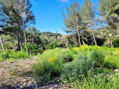 For sale Turbie 1500 m2 Alpes Maritimes (06320) photo 2