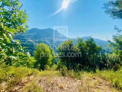 For sale Castagniers 1400 m2 Alpes Maritimes (06670) photo 1