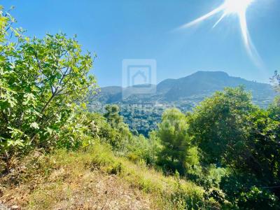 For sale Castagniers 1400 m2 Alpes Maritimes (06670) photo 2