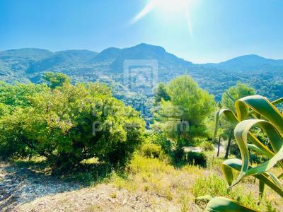 For sale Castagniers 1400 m2 Alpes Maritimes (06670) photo 4