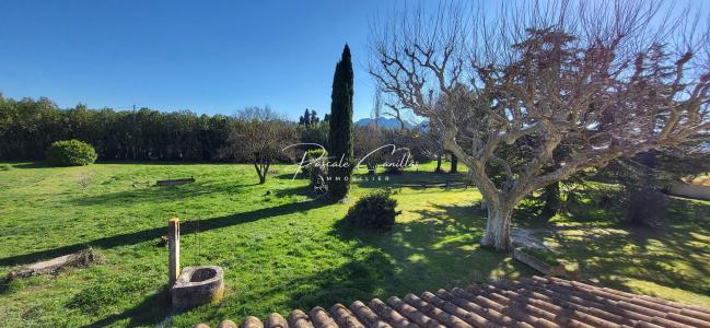 Annonce Vente 6 pices Maison Saint-remy-de-provence 13