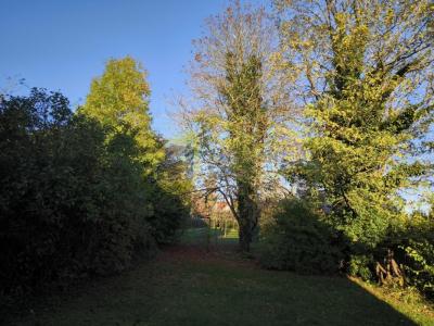 Acheter Maison Plaimpied-givaudins Cher