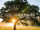 For sale Land Cruviers-lascours VAZANOBRES