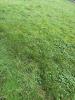 For sale Land Saint-malo 423 m2