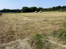 For sale Land Mondrepuis