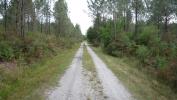 For sale Land Mios