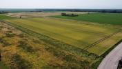 For sale Land Neuf-brisach
