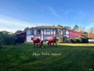 For sale House Saubion 270 m2 9 pieces