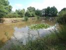 For sale Land Nuille-le-jalais