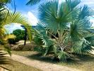 Vente Maison Anse-bertrand  4 pieces 79 m2