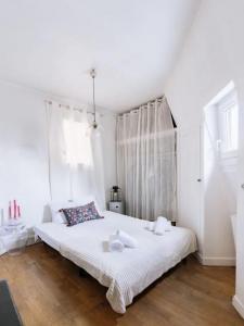Annonce Location Appartement Paris-6eme-arrondissement 75