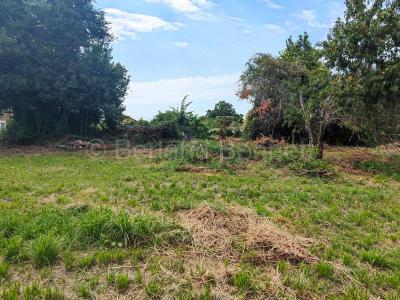 Annonce Vente Maison Chef-boutonne 79