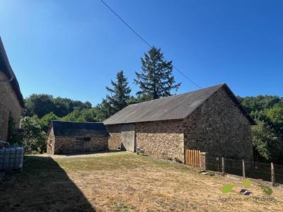 Annonce Vente 6 pices Maison Saint-vitte-sur-briance 87