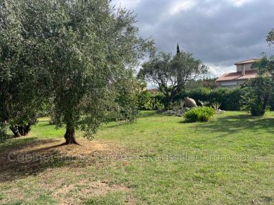 For sale Ceret 609 m2 Pyrenees orientales (66400) photo 0