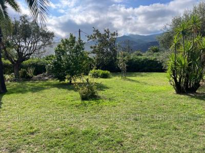 Acheter Terrain Ceret Pyrenees orientales