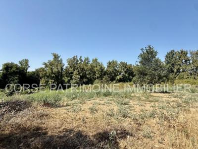 For sale Aleria 4 rooms 120 m2 Corse (20270) photo 2