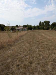 Annonce Vente Terrain  79