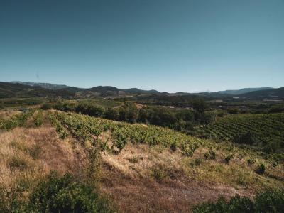 For sale ROUTE DES CHTEAUX CATHAR 107 m2 Aude (11360) photo 1