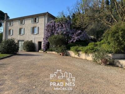 Annonce Vente 10 pices Maison Chanas 38